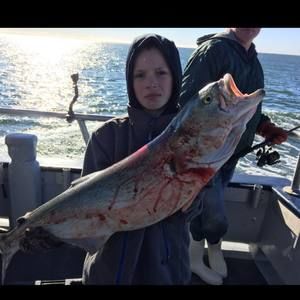 Meet your Posher, Nick